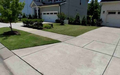 Photo of Ella B.'s yard after getting lawn care in Winchester, MA