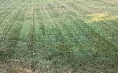 Photo of Rachel T.'s yard after getting lawn care in Bedford, NH