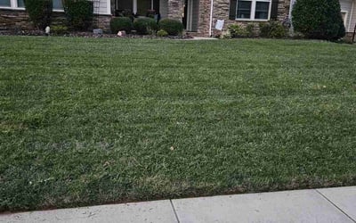 Photo of Lucas B.'s yard after getting lawn care in Center Point, AL