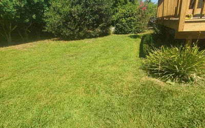 Photo of ANNA B.'s yard after getting lawn care in Barrington, RI