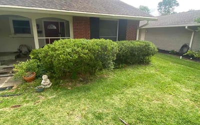 Photo of Katelynn D.'s yard after getting tree care in Nashville, TN