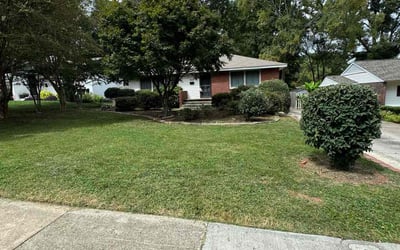 Photo of Douglas M.'s yard after getting lawn care in Arden, NC