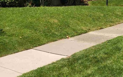 Photo of Claire H.'s yard after getting lawn care in Towson, MD