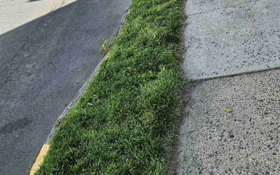 Photo of Lanesha F.'s yard after getting lawn care in Madison, NJ