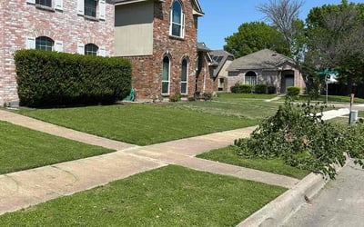 Photo of Silvia C.'s yard after getting lawn care in Garland, TX