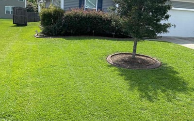 Photo of Jackson N.'s yard after getting lawn care in North Charleston, SC
