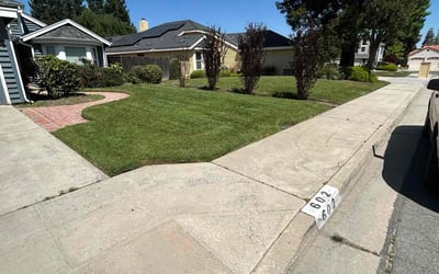 Photo of Lettie B.'s yard after getting lawn care in Reedley, CA
