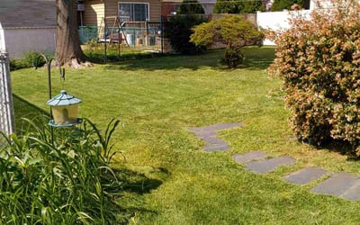 Photo of Shawnette I.'s yard after getting lawn care in Lodi, NJ