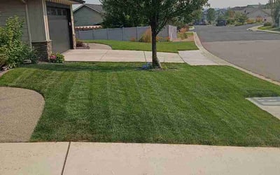 Photo of Zaid A.'s yard after getting lawn care in Charlotte, NC