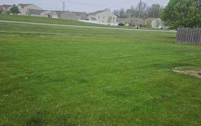 Photo of Patricia M.'s yard after getting lawn care in Mays Landing, NJ