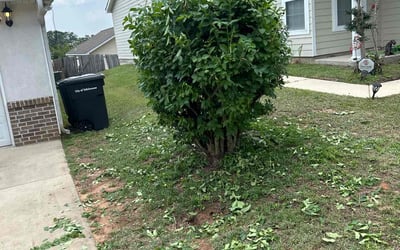 Photo of Cassandra M.'s yard after getting tree care in Carmel, NY