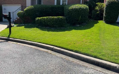 Photo of Megan B.'s yard after getting lawn care in Montevallo, AL
