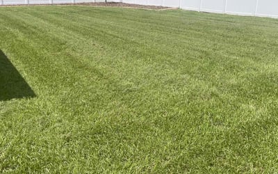 Photo of Julie L.'s yard after getting lawn care in Spring Hill, FL