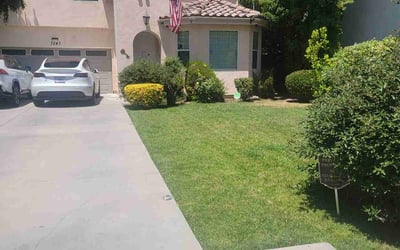 Photo of Mia F.'s yard after getting lawn care in Danbury, CT