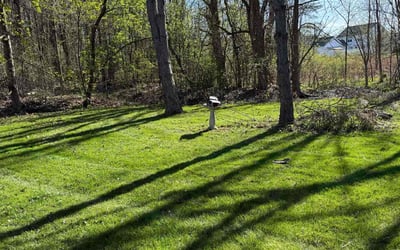 Photo of Jessie K.'s yard after getting lawn care in Rotterdam, NY
