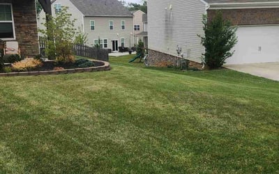 Photo of Erin E.'s yard after getting lawn care in Venice, FL