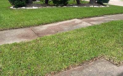 Photo of Malina L.'s yard after getting lawn care in Gloucester, MA