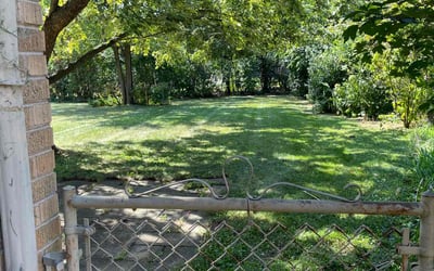 Photo of Jason B.'s yard after getting lawn care in Glen Ellyn, IL