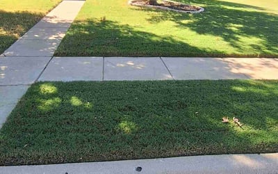 Photo of Katie K.'s yard after getting lawn care in Denton, TX