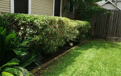 Photo of Jamie C.'s yard after getting lawn care in Derry, NH