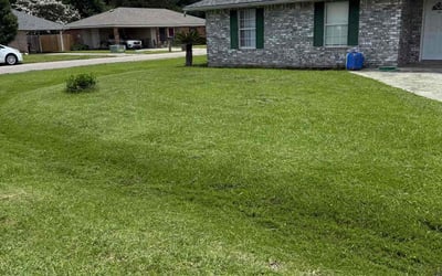 Photo of Maria K.'s yard after getting lawn care in Oak Park, MI