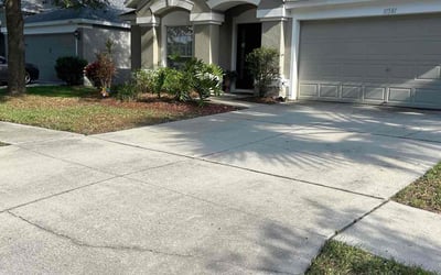 Photo of Tashara C.'s yard after getting lawn care in Castle Rock, CO