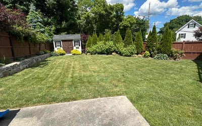 Photo of Shane A.'s yard after getting lawn care in Boston, MA