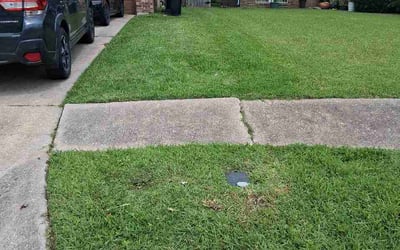Photo of Danita B.'s yard after getting lawn care in Inkster, MI