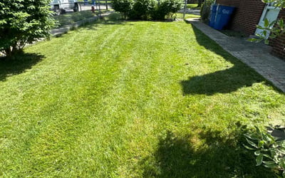 Photo of Patricia R.'s yard after getting lawn care in Warren, PA
