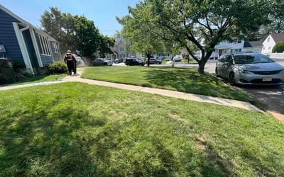 Photo of Prince M.'s yard after getting lawn care in Covington, KY