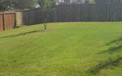 Photo of Chiwon C.'s yard after getting lawn care in Newnan, GA
