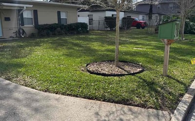 Photo of Tony A.'s yard after getting lawn care in Orlando, FL