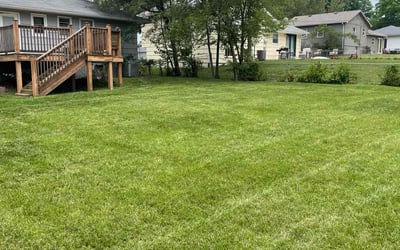 Photo of Richard R.'s yard after getting lawn care in Alexandria, KY