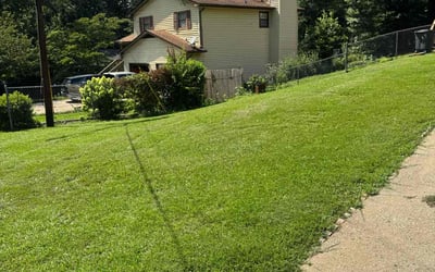Photo of Ivette G.'s yard after getting lawn care in Plainfield, IL