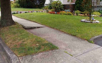 Photo of Nakeisha R.'s yard after getting lawn care in Teaneck, NJ