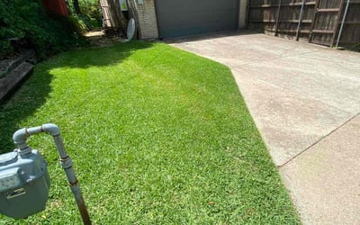 Photo of Lydia C.'s yard after getting lawn care in San Bruno, CA