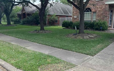 Photo of Deneise T.'s yard after getting lawn care in Houston, TX