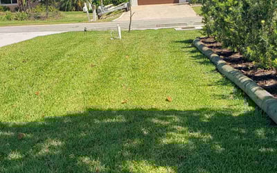 Photo of Heather L.'s yard after getting lawn care in Nokomis, FL