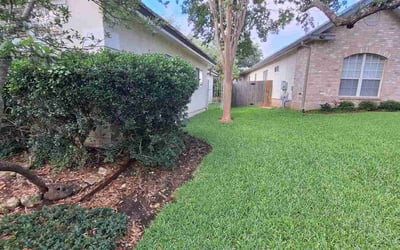 Photo of Dorian D.'s yard after getting lawn care in San Antonio, TX