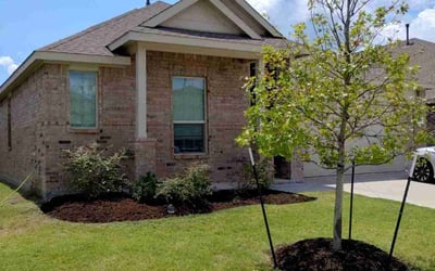 Photo of Stacy R.'s yard after getting lawn care in Princeton, NJ