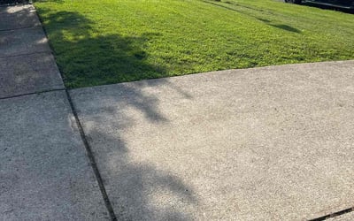 Photo of Karina J.'s yard after getting lawn care in Brooklyn, NY