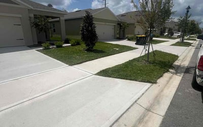 Photo of Sheron b.'s yard after getting lawn care in Orange City, FL