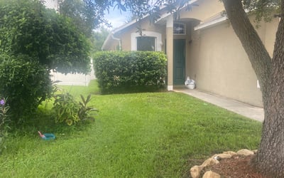 Photo of Wendy G.'s yard after getting tree care in Odessa, FL