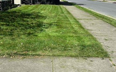 Photo of Debbie h.'s yard after getting lawn care in Rome, NY