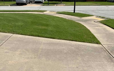 Photo of Will S.'s yard after getting lawn care in Wetumpka, AL