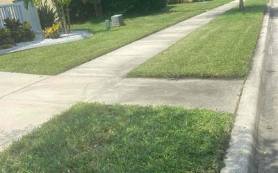 Photo of Joseph F.'s yard after getting lawn care in New Smyrna Beach, FL