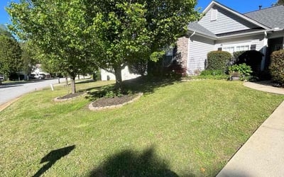 Photo of Margaret A.'s yard after getting lawn care in Greenville, SC