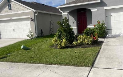 Photo of Pedro M.'s yard after getting lawn care in Orlando, FL