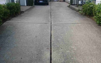 Photo of Alicia D.'s yard after getting lawn care in Dowagiac, MI