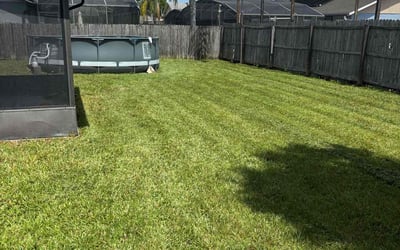 Photo of Claudia R.'s yard after getting lawn care in Poinciana, FL